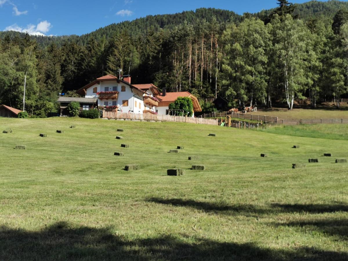 브루니코 Rauchenbichlerhof 아파트 외부 사진